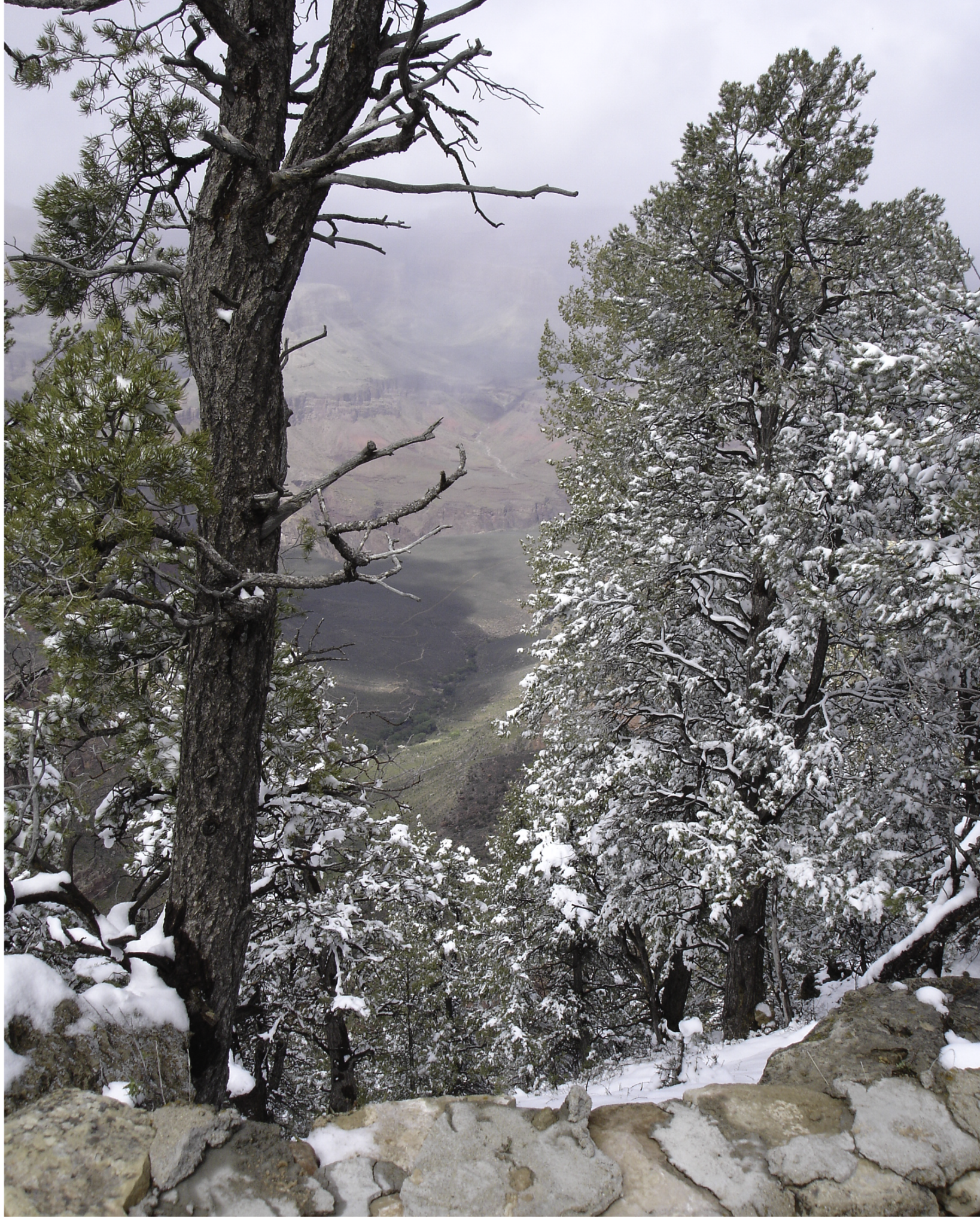 Grand Canyon in Snow